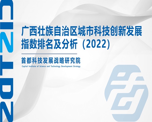 啊啊啊插小骚逼视频【成果发布】广西壮族自治区城市科技创新发展指数排名及分析（2022）